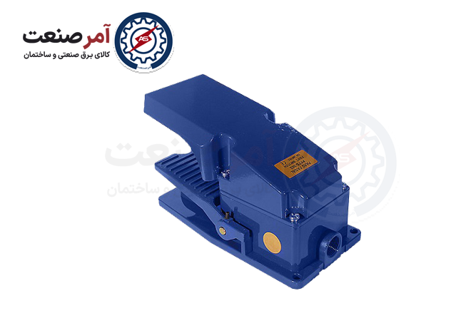 Cast iron pedal with Pars Fanal protector Cast iron pedal with Pars Fanal protector